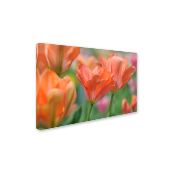 Cora Niele 'Tulip Flower Orange Wings' Canvas Art,22x32